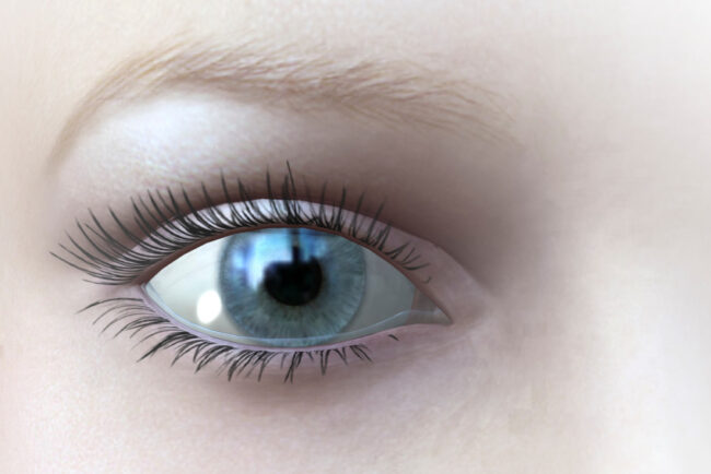 digital rendering of an eye